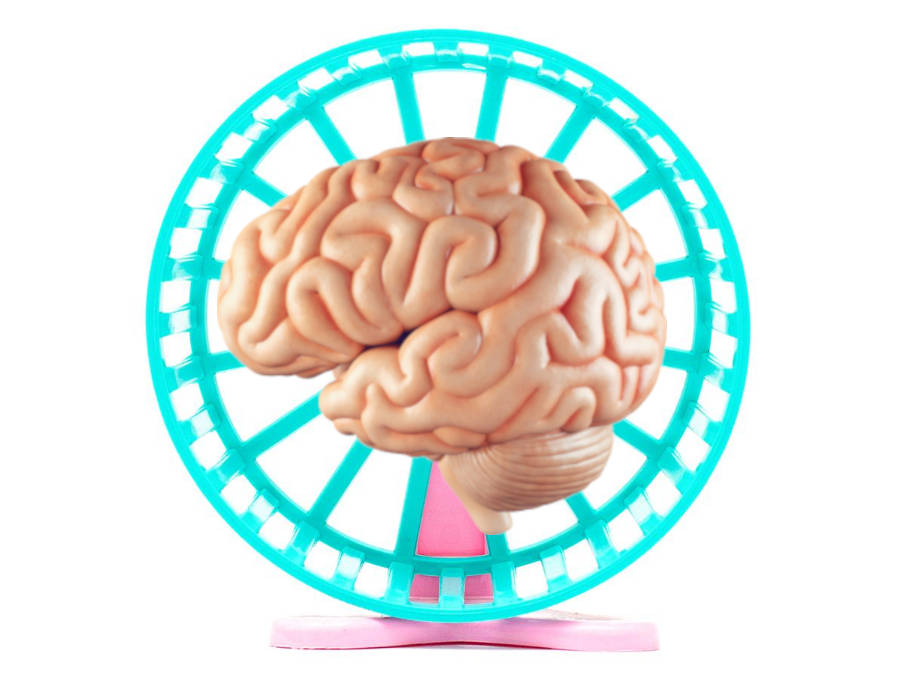 Hjernen kører i tankespin - et mentalt hamsterhjul. Metakognitiv terapi går direkte efter at reducere overtænkning og konstante bekymringer og grublerier.
